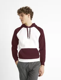 Mikina raglan Ceblocos