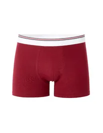 Boxerky Mike
