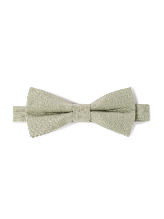 Motýľ Libowwed