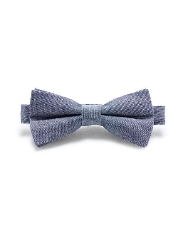 Motýlik Libowwed