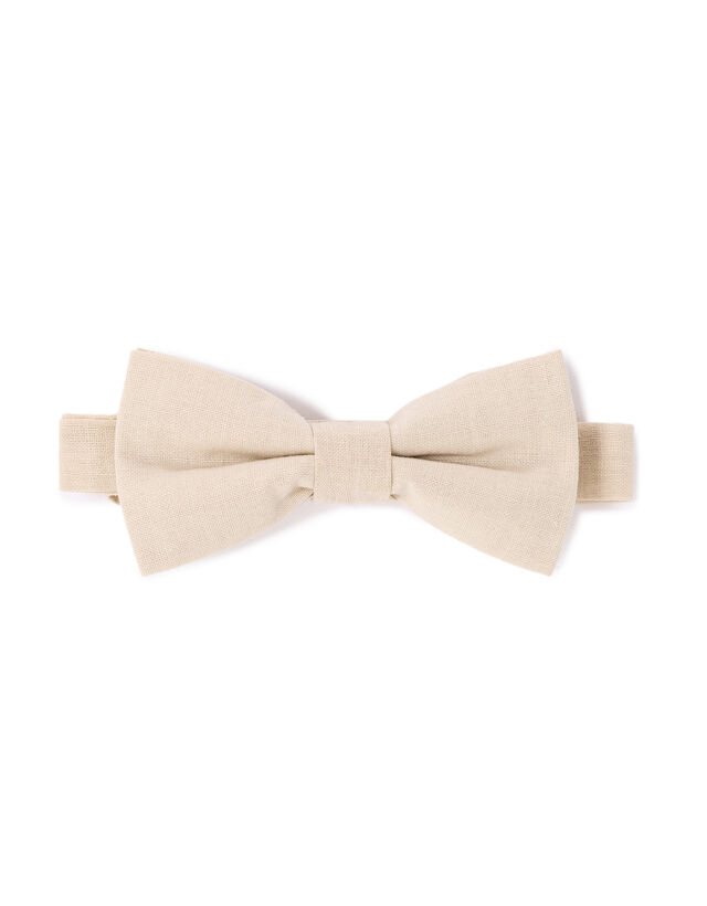 Motýľ Libowwed Motýľ Libowwed