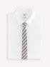 Hodvábna prúžkovaná kravata Tiekrayon (2)